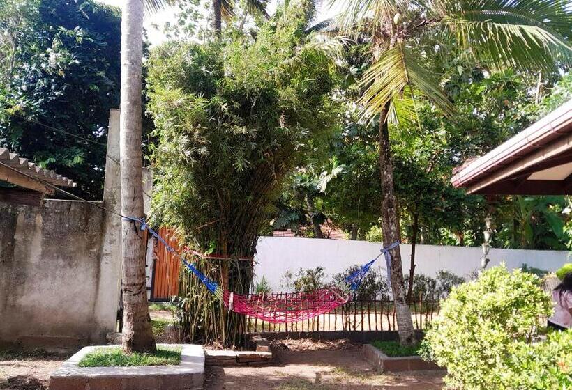 Bed and Breakfast Banana Leaf Garden