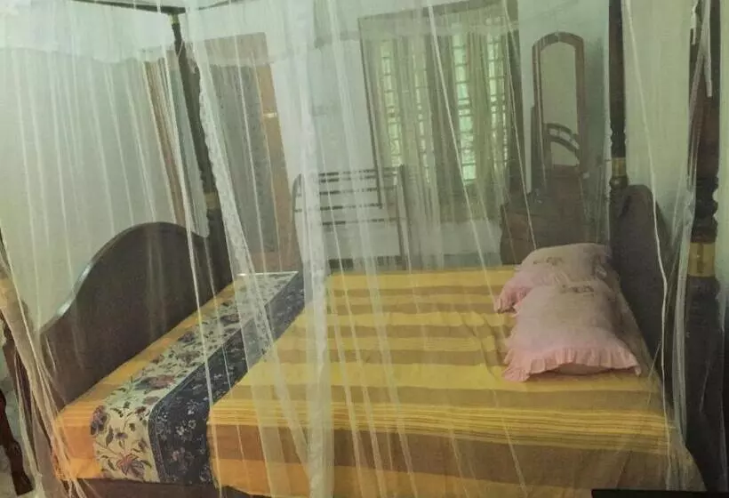 Bed and Breakfast Banana Leaf Garden