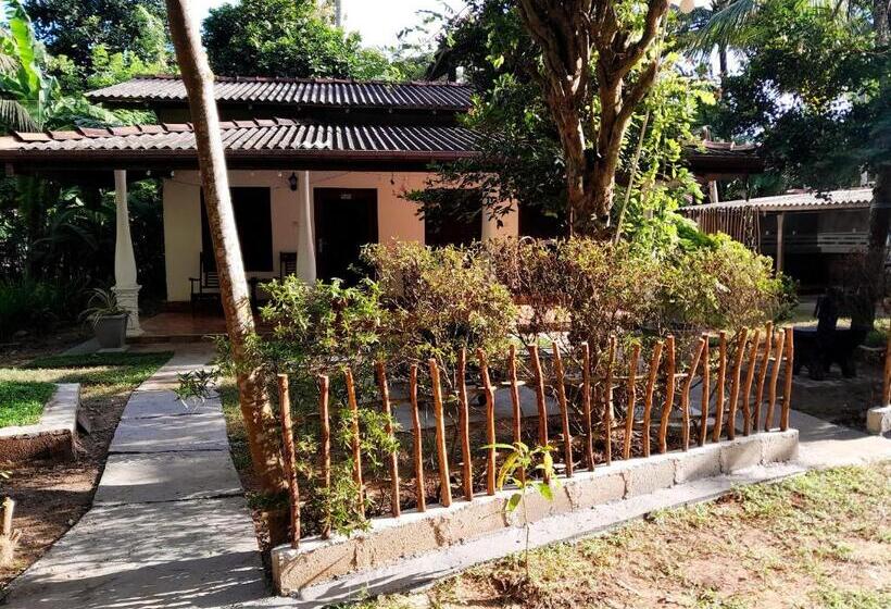 Bed and Breakfast Banana Leaf Garden