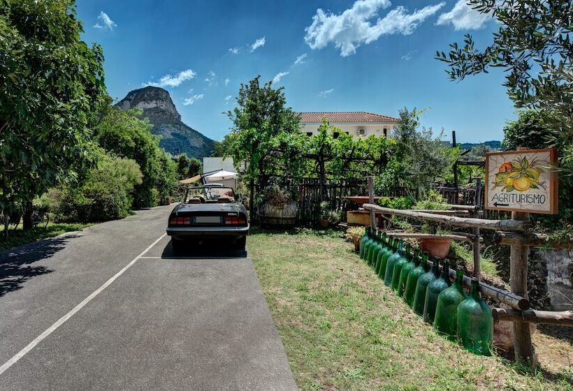 ベッドアンドブレックファースト Casa Nannina