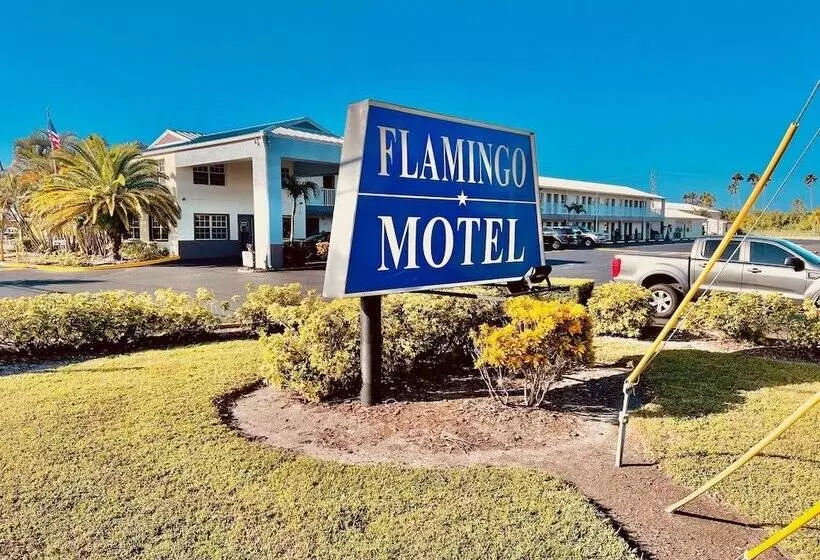 Flamingo Motel
