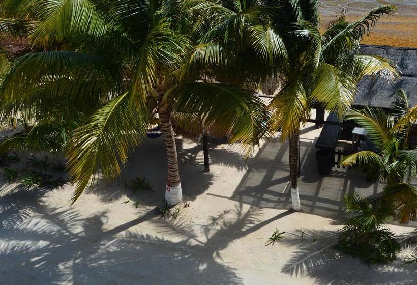 فندق Arrecifes Costamaya