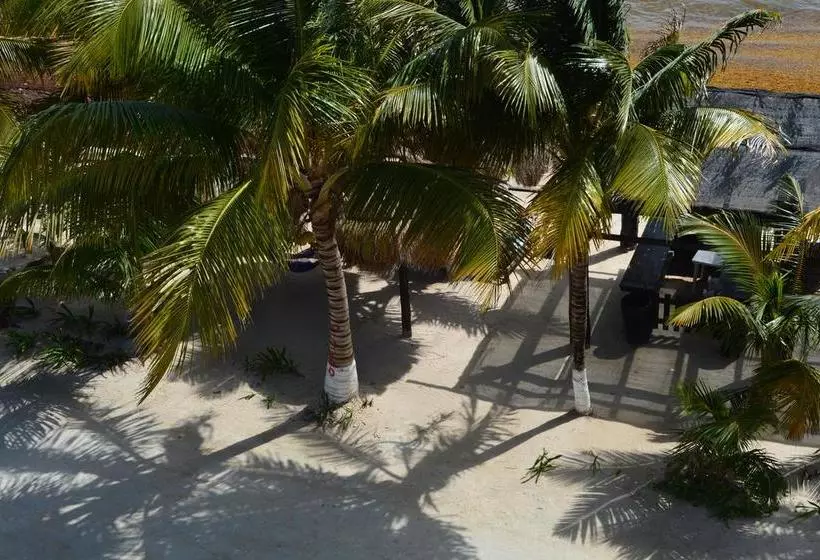 호텔 Arrecifes Costamaya