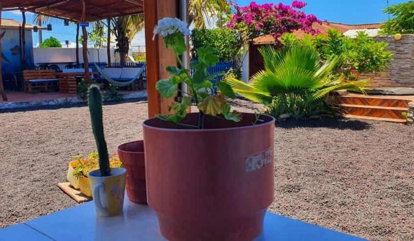 Hotel Hospedaje Delfin Azul