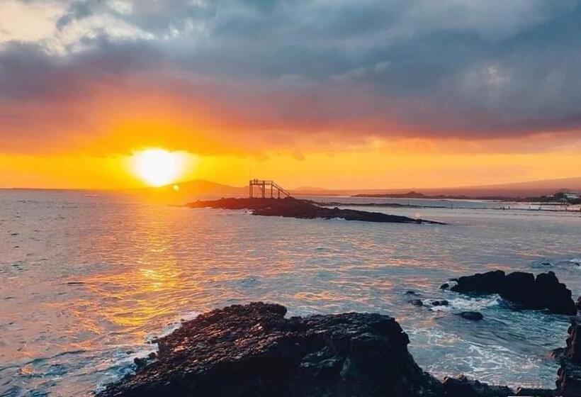 Hotel Hospedaje Delfin Azul