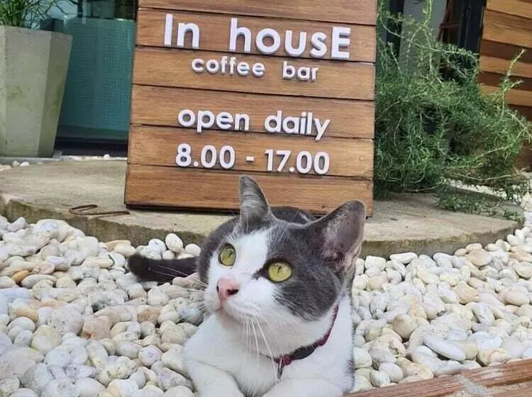 Golden House Hotel Sakaeo