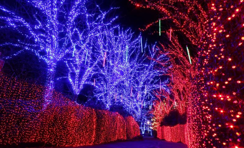 فندق Holiday Inn Portland West Hillsboro, An Ihg