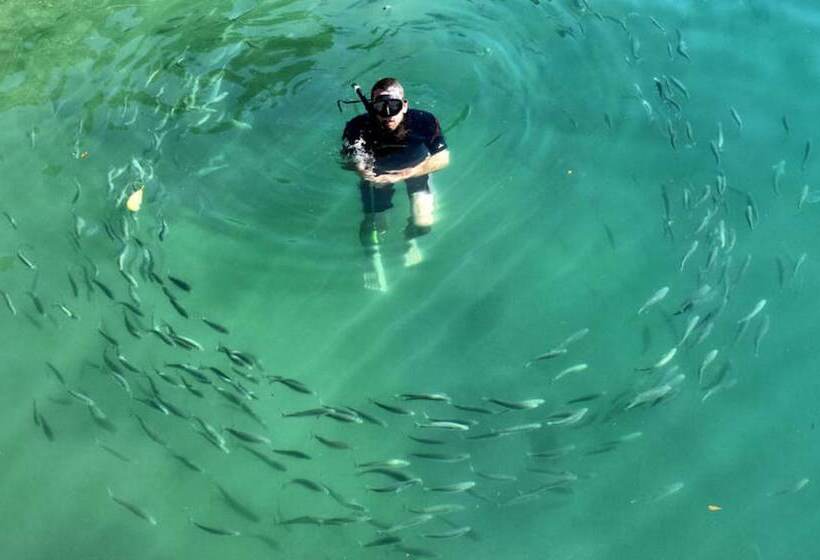 فندق Lochmara Lodge