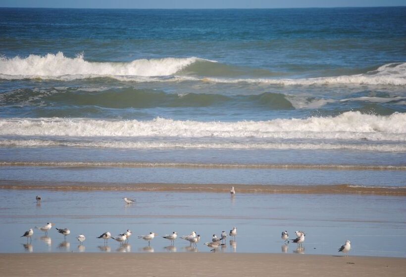 Otel Ocean Jewels Club #312