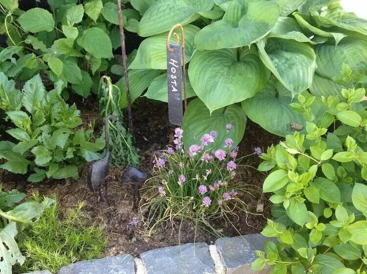 Pensió Stable Oak Cottages