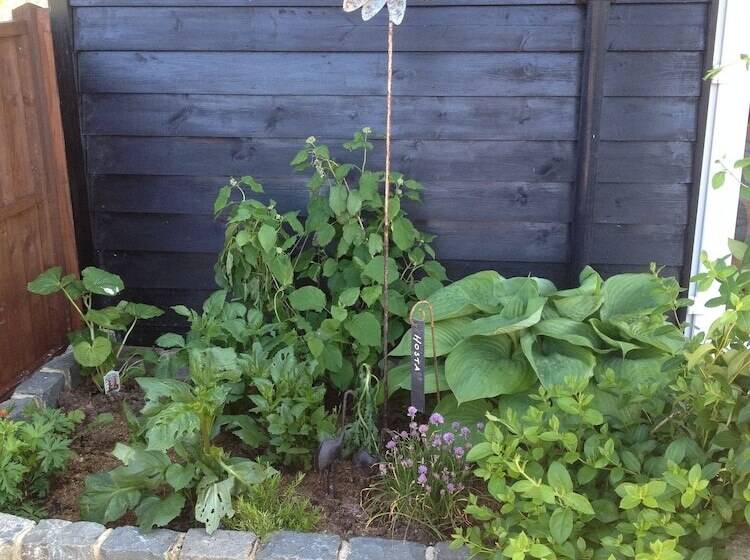 بنسيون Stable Oak Cottages