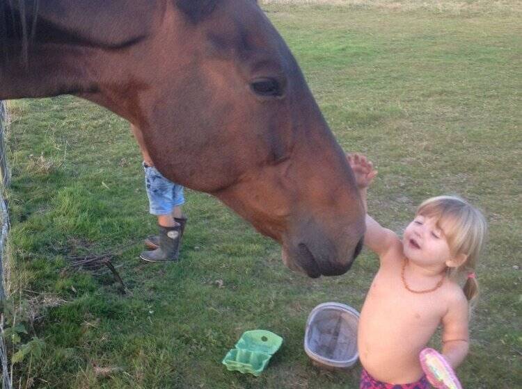 بنسيون Stable Oak Cottages