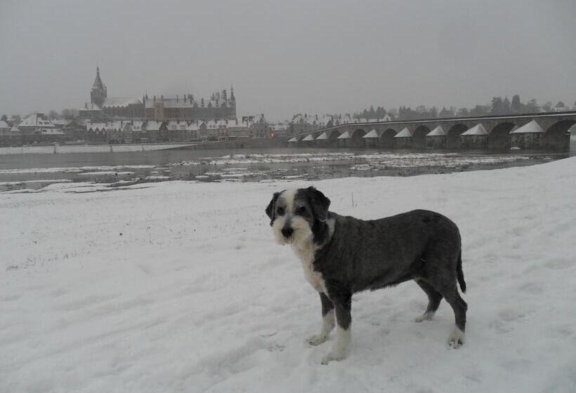 Brit Hotel Confort Gien