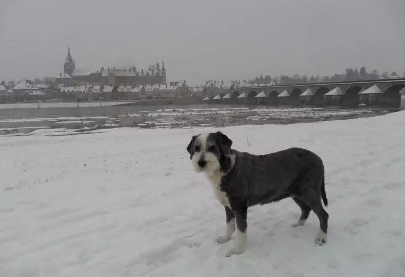 Brit Hotel Confort Gien