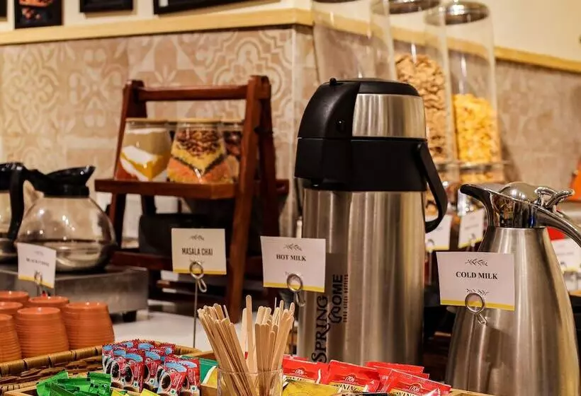 Hotelli Bloom Boutique   Connaught Place Area