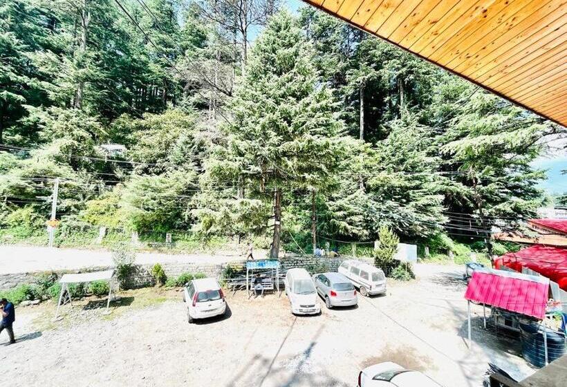 Hotel High Mountains By Hadimba Palace