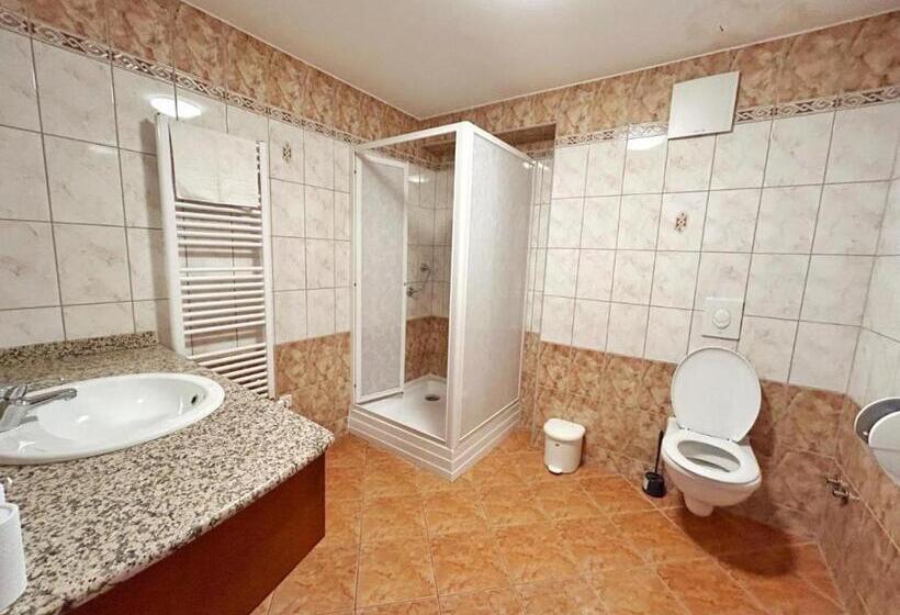 مبيت وإفطار Főnix Wellness Panzió Hévíz