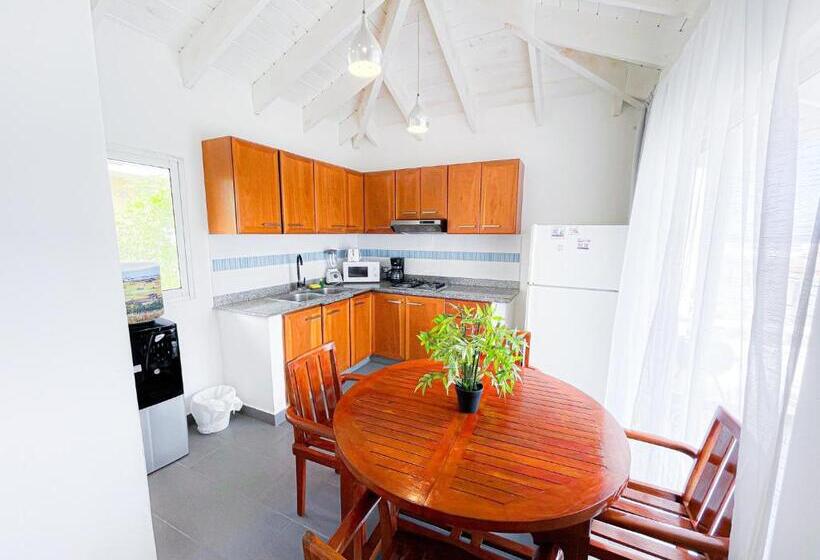 Caribbean Galaxy Paradise Hotel Wifi Los Corales Bavaro Beach Club & Spa