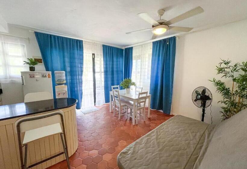 Caribbean Galaxy Paradise Hotel Wifi Los Corales Bavaro Beach Club & Spa