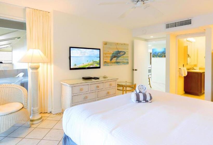 Maui Eldorado B200 Large Lanai W/ocean/golf Course Views