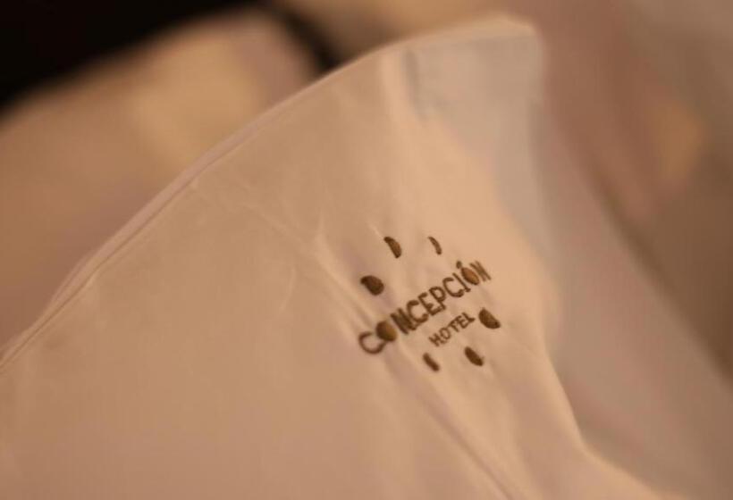 Concepción Hotel Boutique Adults Only
