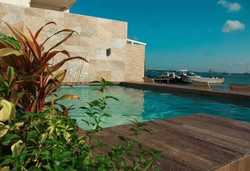 فندق Bartolome Oceanfront Suites
