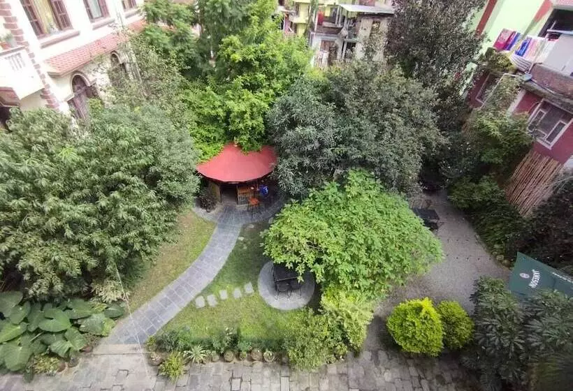 هتل Cloud 9 Garden