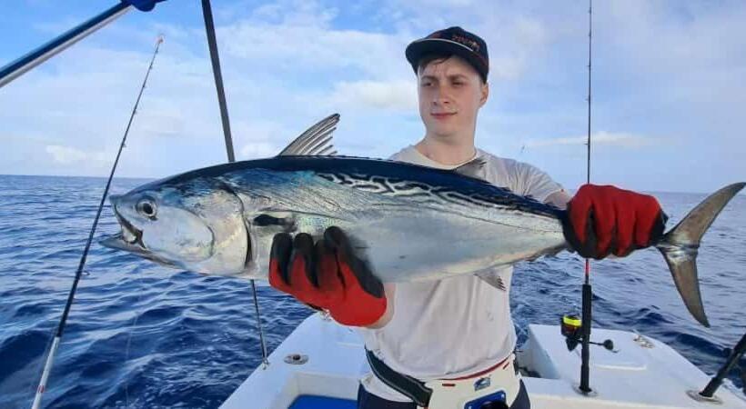 پانسیون Fish Tobago Guesthouse Or Joy And Brandon Guesthouse