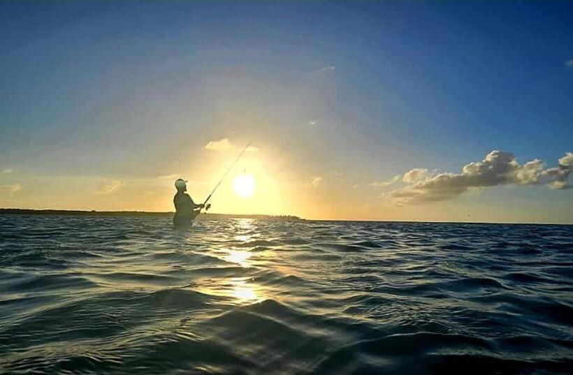 پانسیون Fish Tobago Guesthouse Or Joy And Brandon Guesthouse