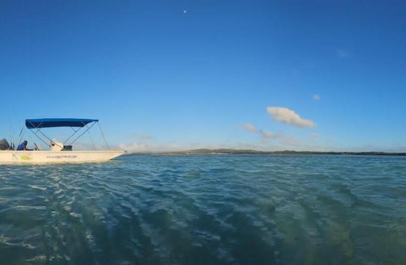 پانسیون Fish Tobago Guesthouse Or Joy And Brandon Guesthouse