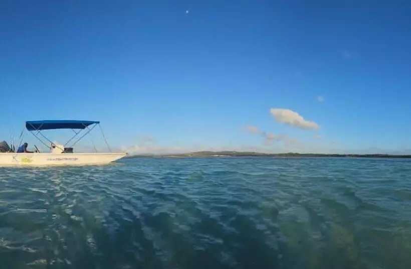 پانسیون Fish Tobago Guesthouse Or Joy And Brandon Guesthouse