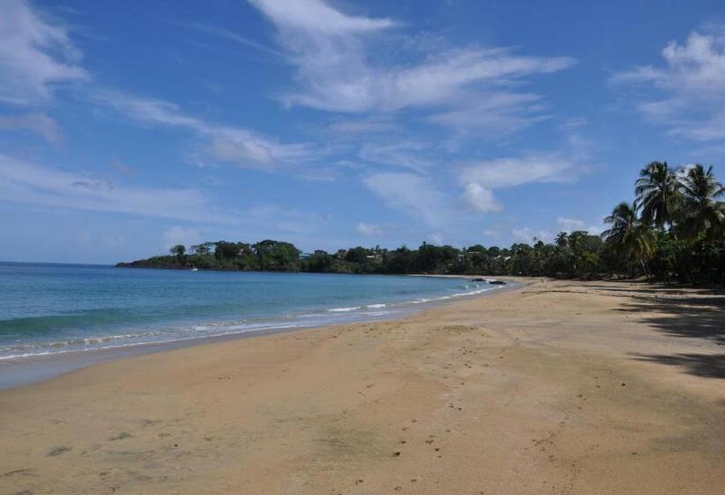 پانسیون Fish Tobago Guesthouse Or Joy And Brandon Guesthouse