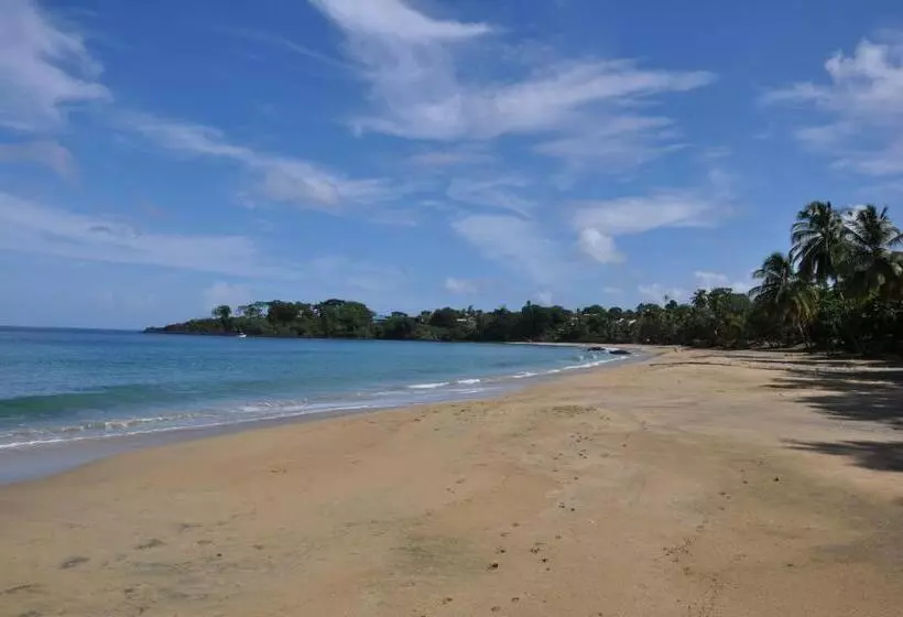 پانسیون Fish Tobago Guesthouse Or Joy And Brandon Guesthouse