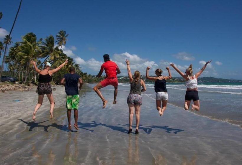 پانسیون Fish Tobago Guesthouse Or Joy And Brandon Guesthouse