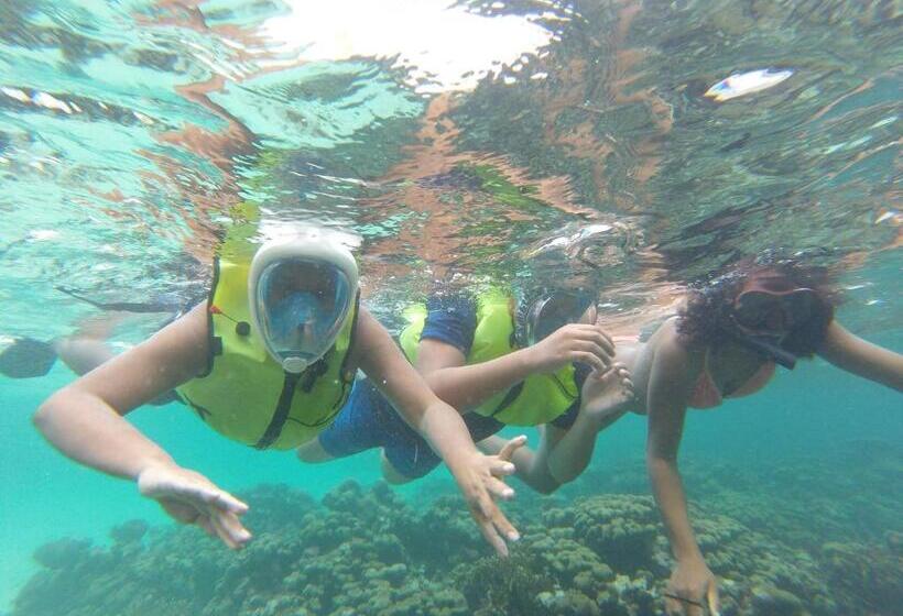 پانسیون Fish Tobago Guesthouse Or Joy And Brandon Guesthouse