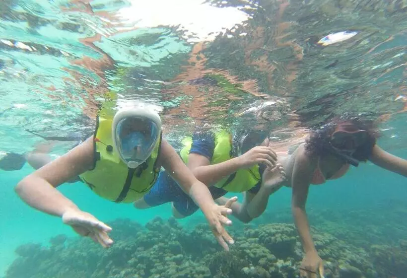 پانسیون Fish Tobago Guesthouse Or Joy And Brandon Guesthouse