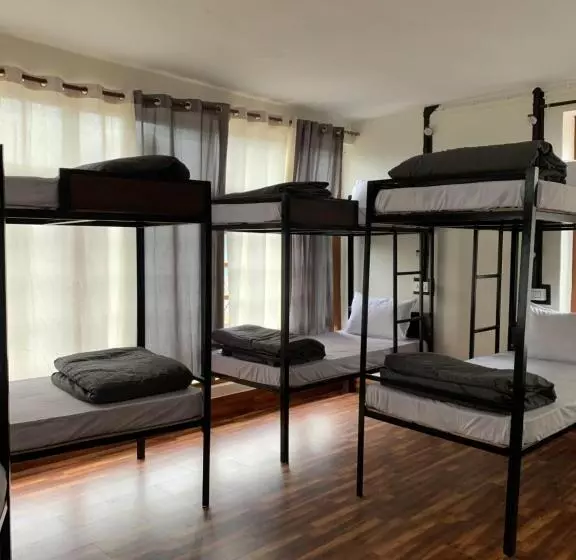 Roamate Hostel, Old Manali