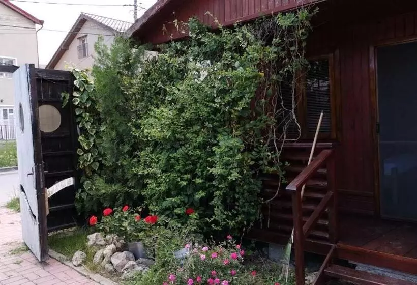 ユースホステル Casa Cris Will