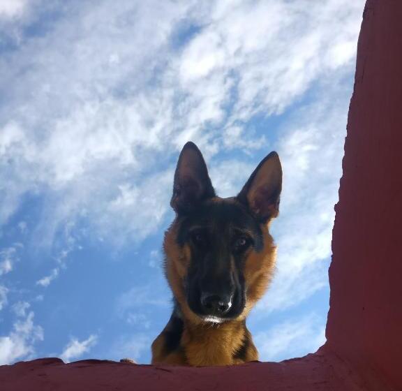 בית מלון כפרי Flipsyde Retreat