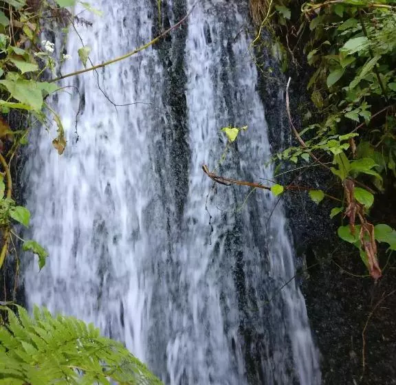 Hotelli Flipsyde Retreat