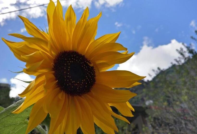 בית מלון כפרי Flipsyde Retreat