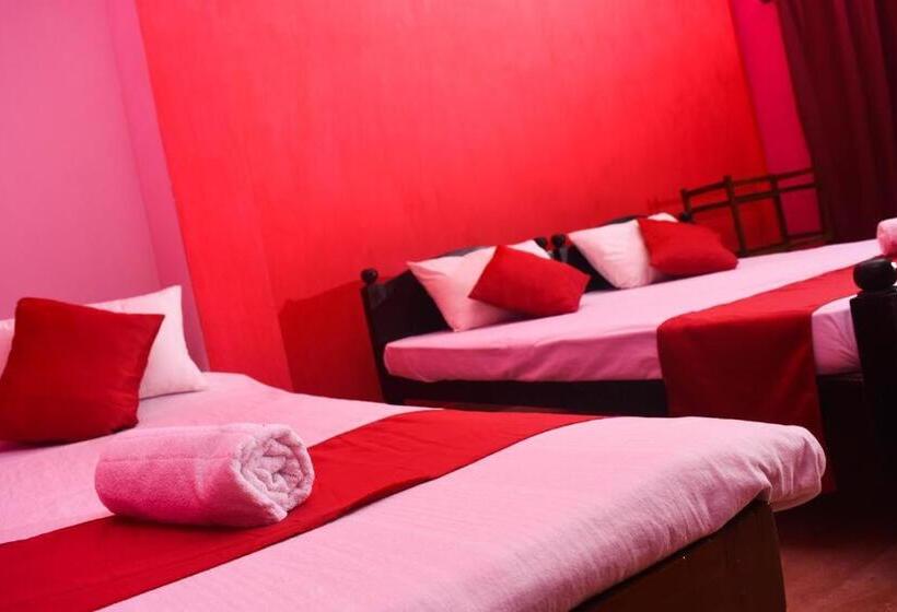 فندق صغير Shrine Inn