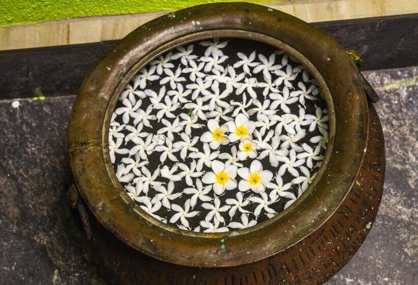 فندق صغير Shrine Inn