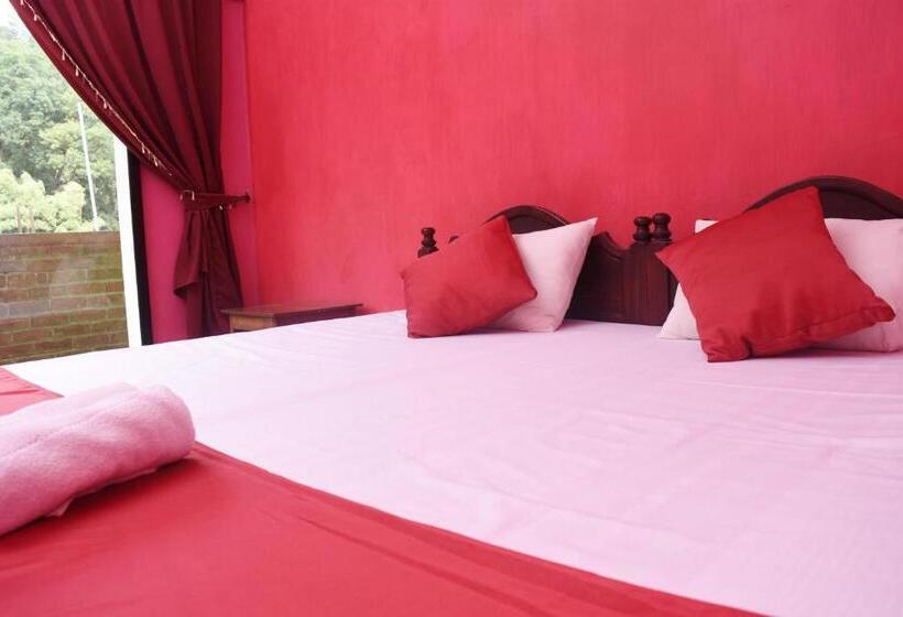 فندق صغير Shrine Inn