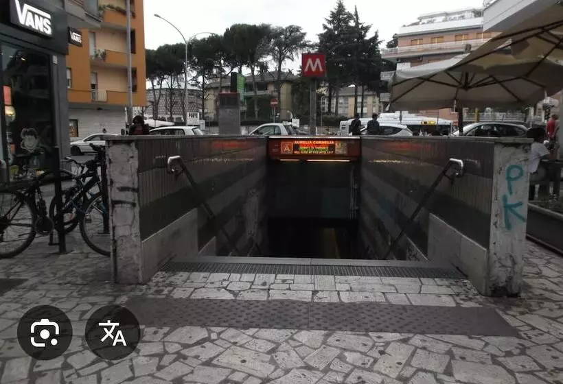 تختخواب و صبحانه Living