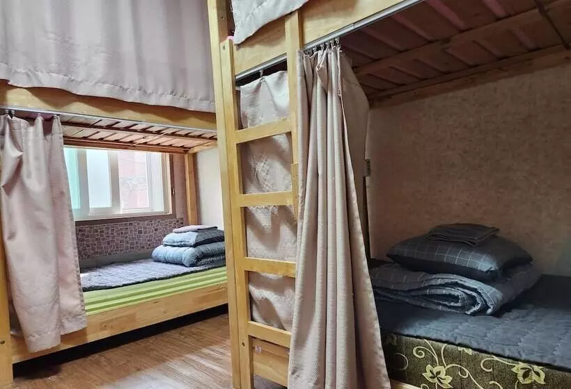 Birdsnest Hostel Hongdae Foreigner Only