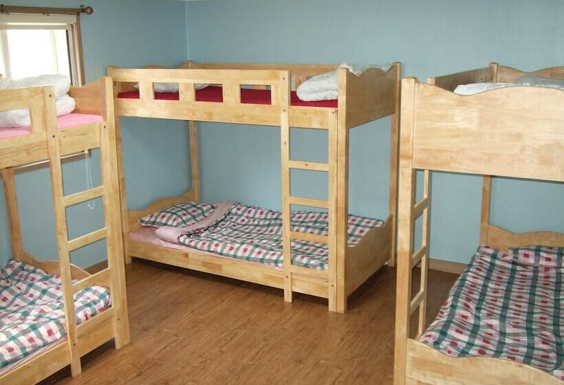 Birdsnest Hostel Hongdae Foreigner Only