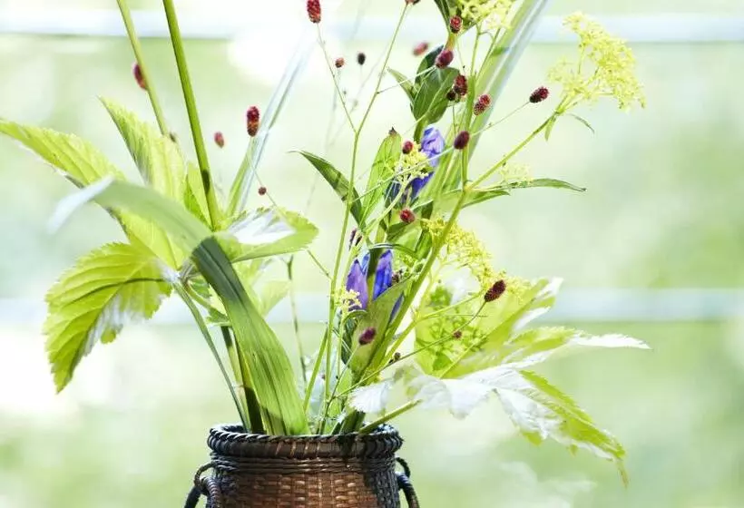 בית מלון כפרי Fudoguchikan