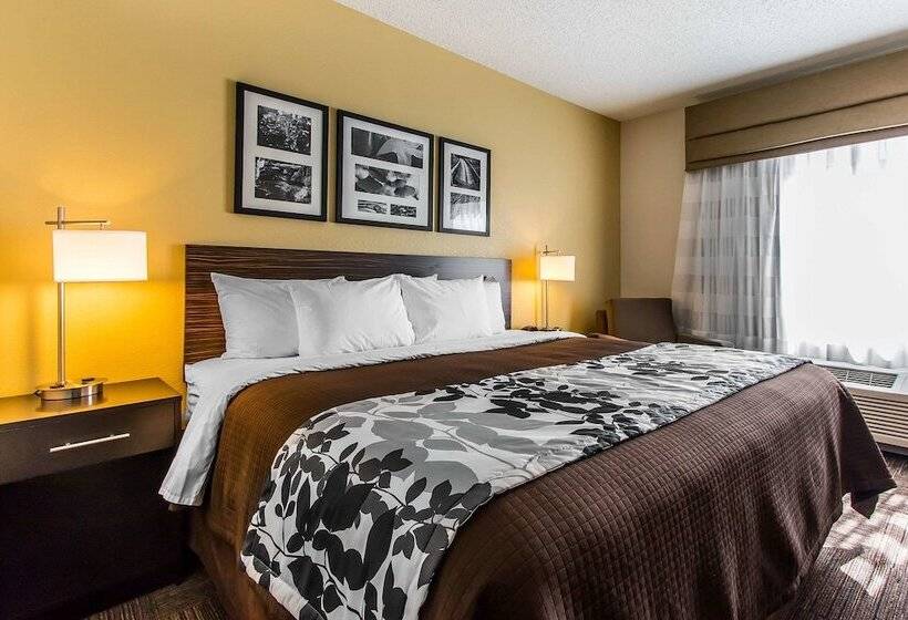 酒店 Wingate By Wyndham Jonesboro La