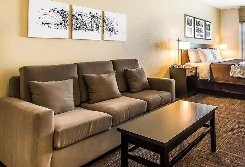 酒店 Wingate By Wyndham Jonesboro La